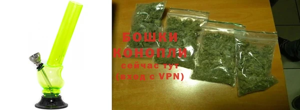 бошки Снежногорск