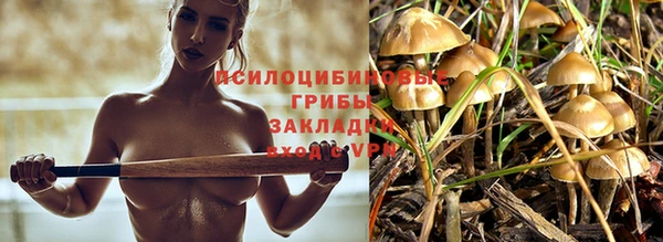 марки lsd Балабаново
